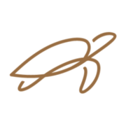 Dream Yacht logo
